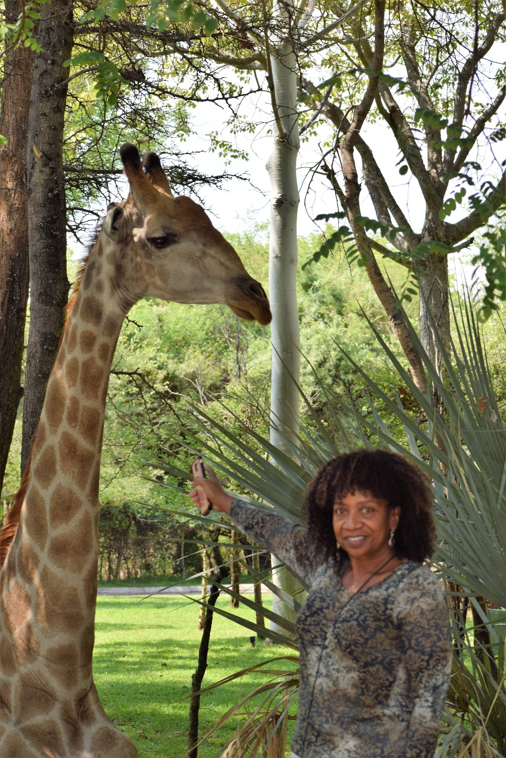 A woman points at a giraffe in a park