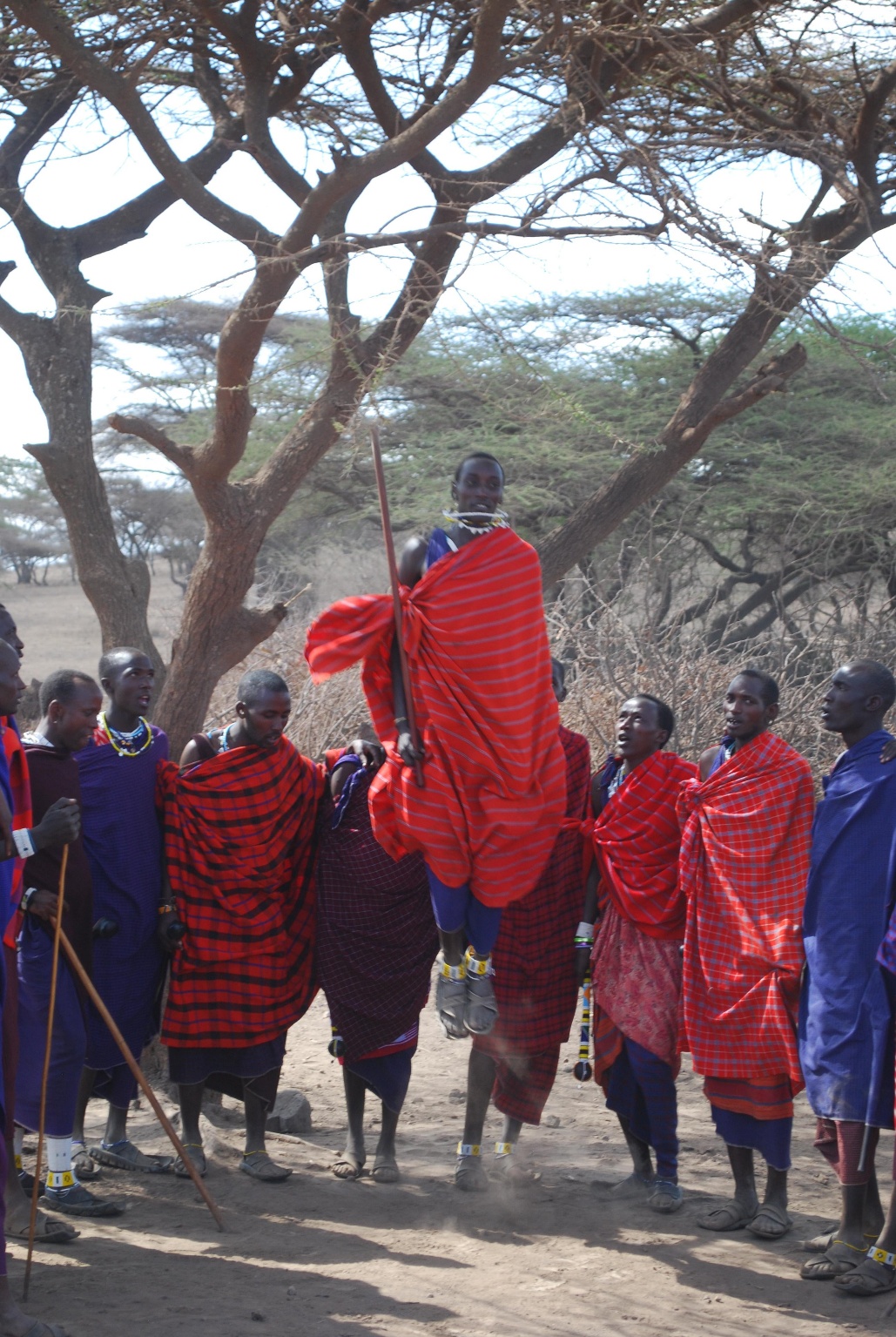 A group of people gathered around a large tree